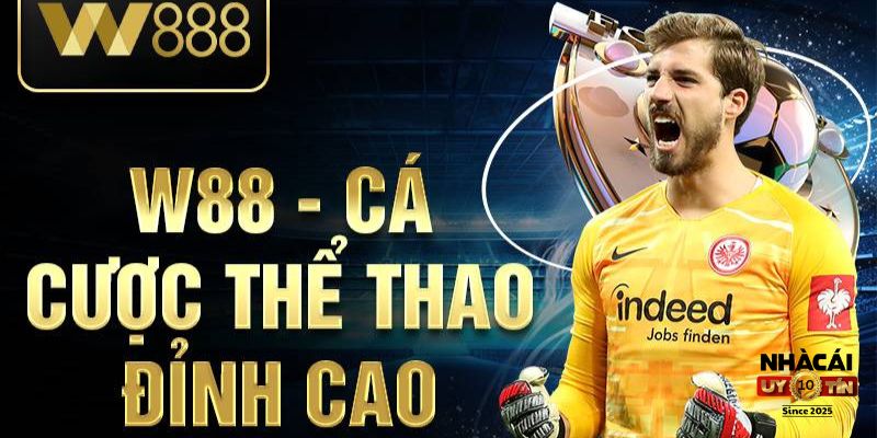 Cá cược thể thao đa dạng và tỷ lệ kèo hấp dẫn