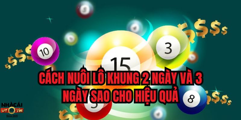 Cách nuôi lô khung 2 ngày và 3 ngày sao cho hiệu quả