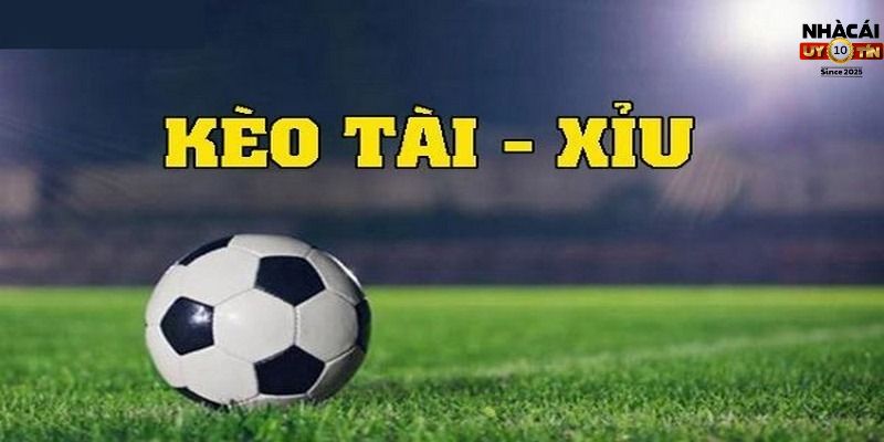 Kèo Tài Xỉu dành cho người phân tích tổng số bàn