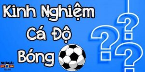 Kinh Nghiệm Cá Cược Bóng Đá Hiệu Quả Từ Chuyên Gia Thực Chiến
