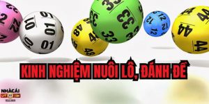 Kinh Nghiệm Nuôi Lô, Đánh Đề
