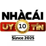 Logo nhacaiuytin